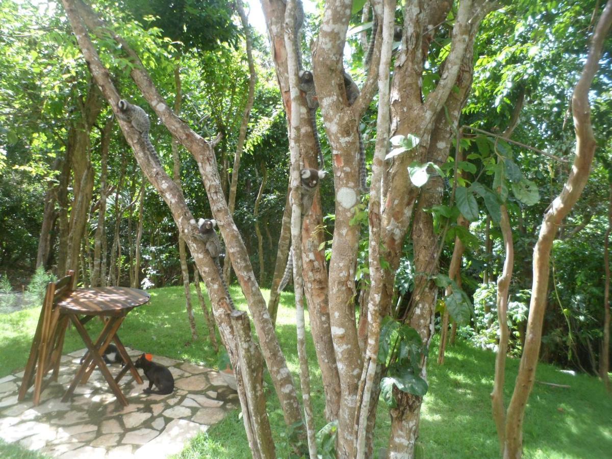 Casa Hermosa II Praia de Pipa Bagian luar foto